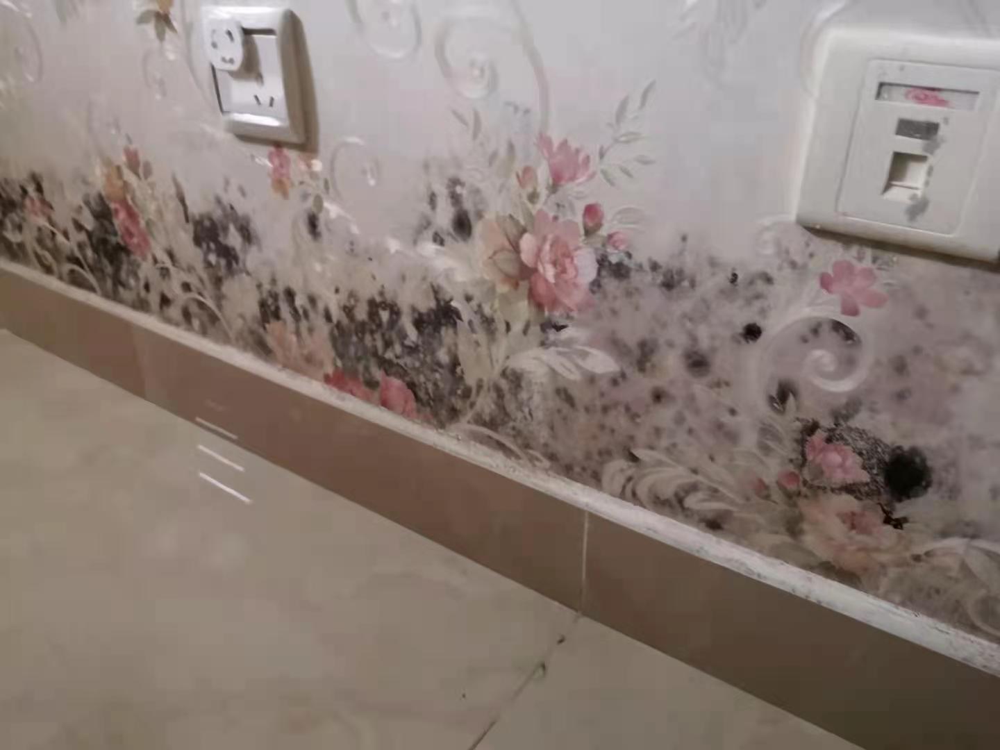 墙体发霉.jpg